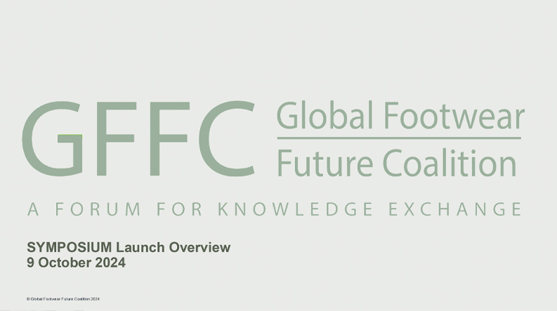 GFFC Symposium Report PDF